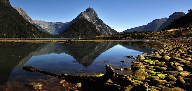 Thankful for Peaks and Valleys