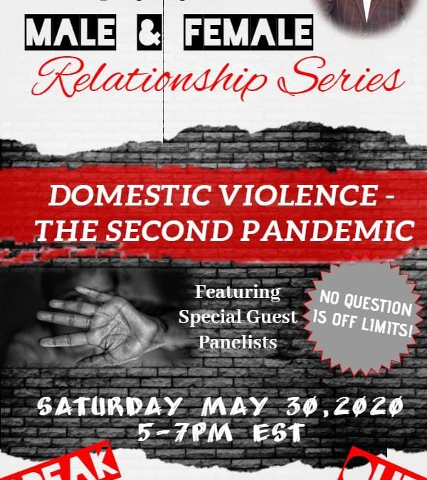 Virtual Discussion: DV-The Second Pandemic